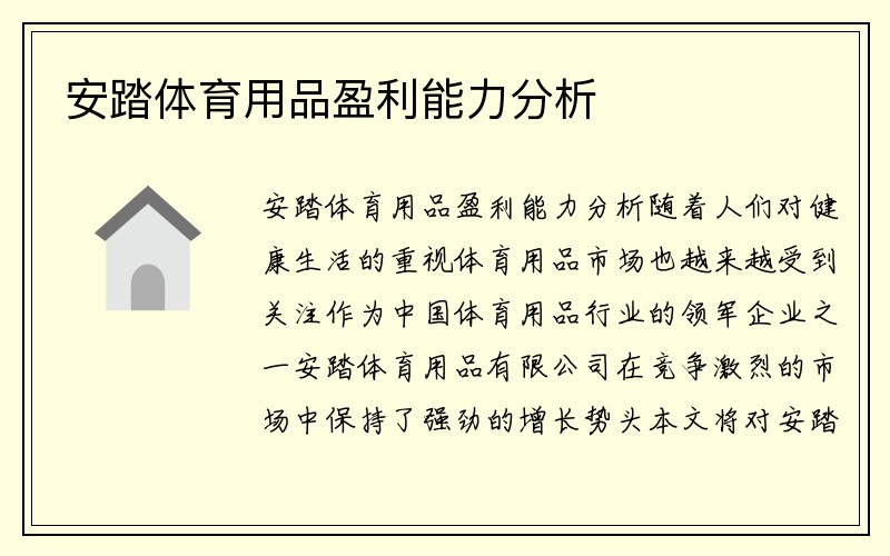 安踏体育用品盈利能力分析