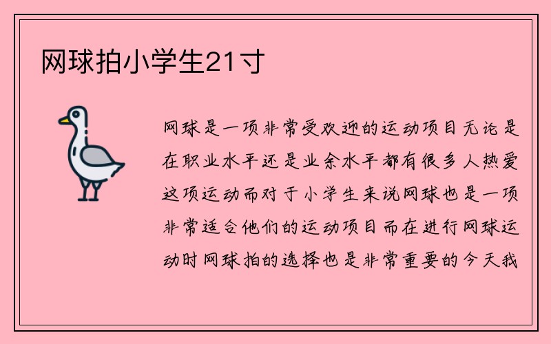 网球拍小学生21寸