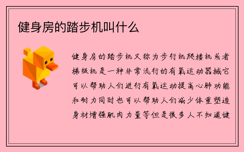 健身房的踏步机叫什么