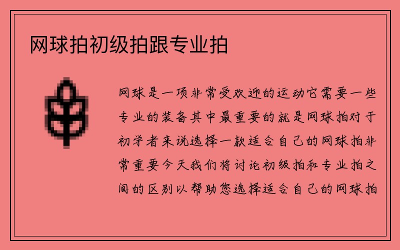 网球拍初级拍跟专业拍